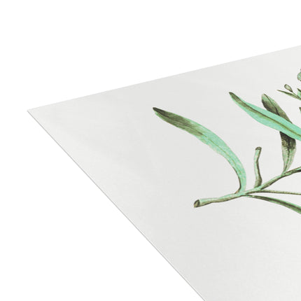 Blue Straw Flower, Catananche Caerulea by Anselmus Boëtius de Boodt Postcards (envelopes included) - Bundles of 10, 30, 50 Pieces