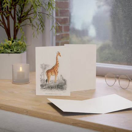 Giraffe by Charles Dessalines D' Orbigny Greeting Cards (1, 10, 30, and 50pcs)