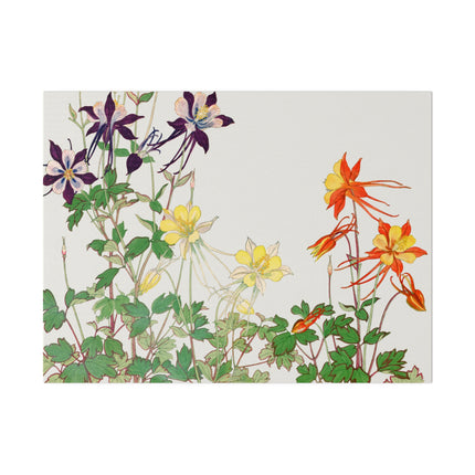 Aquilegia Flower by Tanigami Kônan – Japanese Botanical Art