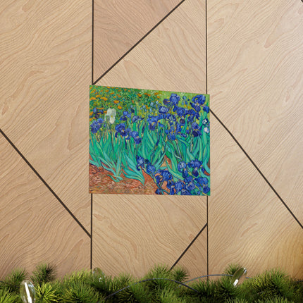 Irises by Vincent Van Gogh Matte Horizontal Posters