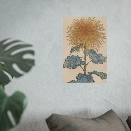 Chrysanthemum Harmony Fine Art Poster