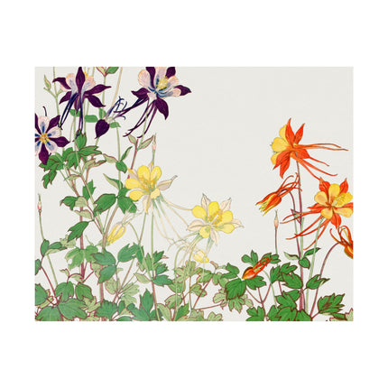Aquilegia Flower by Tanigami Kônan Premium Matte horizontal posters