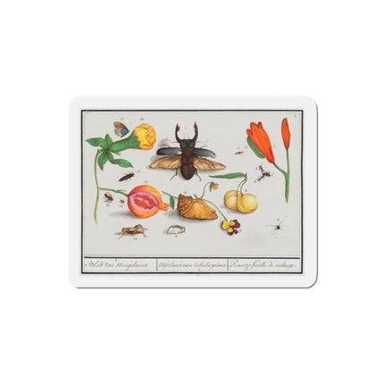 Natural History Ensemble, No. 1 Die-Cut Magnets (5 Sizes)