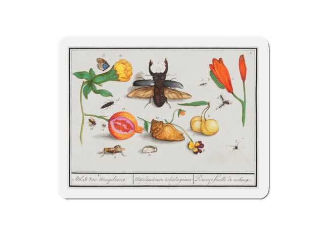 Natural History Ensemble, No. 1 Die-Cut Magnets (5 Sizes)