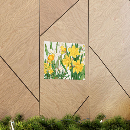 Daffodil by Tanigami Kônan Premium Matte horizontal posters
