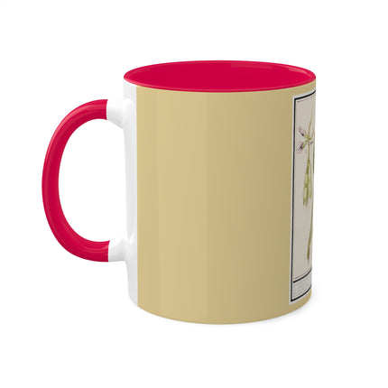 Artichoke, Broad Beans, and Lantern Plant by Anselmus Boëtius de Boodt Colorful Mugs, 11oz
