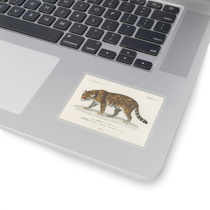 Jaguar by Charles Dessalines D' Orbigny Kiss-Cut Stickers (4 Sizes)