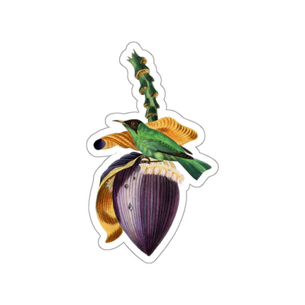 Treecreeper by Paul Gervais Kiss-Cut Stickers (4 Sizes)