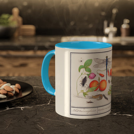 Natural History Ensemble, No. 7 by Anselmus Boëtius de Boodt Colorful Mugs, 11oz