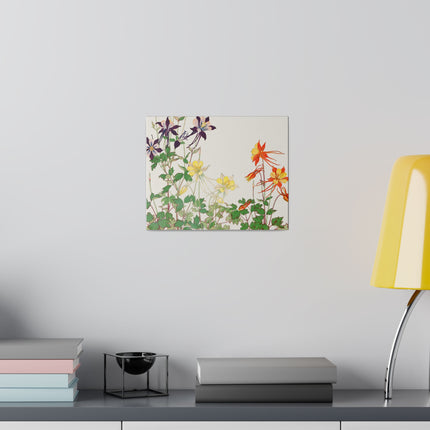 Aquilegia Flower by Tanigami Kônan – Japanese Botanical Art