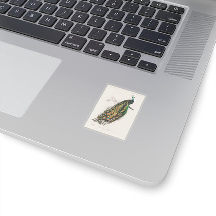 Indian Peafowl by Charles Dessalines D' Orbigny Kiss-Cut Stickers (4 Sizes)