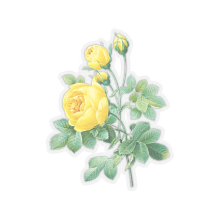 Yellow Rose Botanical Illustration by Pierre-Joseph Redouté Kiss-Cut Stickers (4 Sizes)