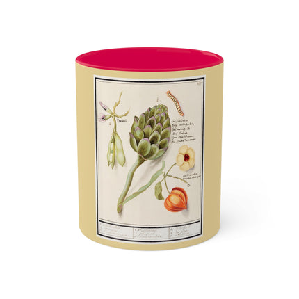 Artichoke, Broad Beans, and Lantern Plant by Anselmus Boëtius de Boodt Colorful Mugs, 11oz