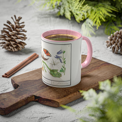 Natural History Ensemble, No. 17 by Anselmus Boëtius de Boodt Colorful Mugs, 11oz