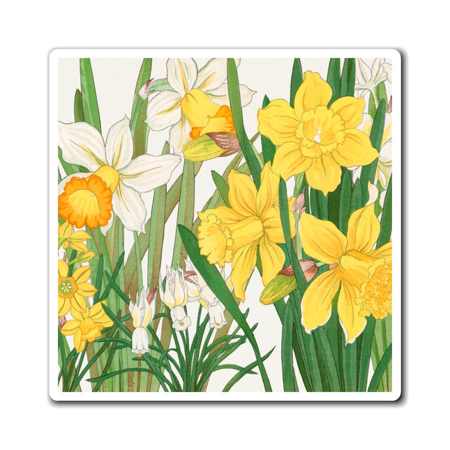 Daffodil by Tanigami Kônan Magnets (3 Sizes)