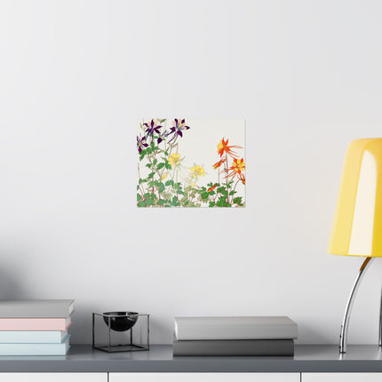 Aquilegia Flower by Tanigami Kônan Premium Matte horizontal posters