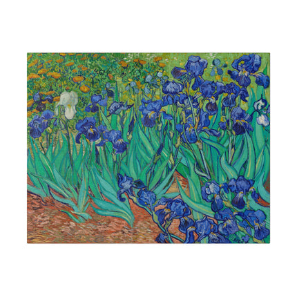Irises by Vincent Van Gogh Matte Canvas, Stretched, 0.75"