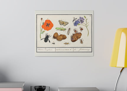 Natural History Ensemble, No. 17 by Anselmus Boëtius de Boodt Matte Canvas, Stretched, 0.75"