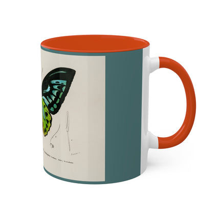 Green Birdwing by Charles Dessalines D' Orbigny Colorful Mugs, 11oz