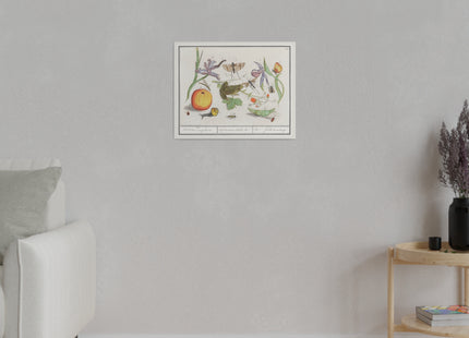 Natural History Ensemble, No. 12 by Anselmus Boëtius de Boodt Matte Canvas, Stretched, 0.75"