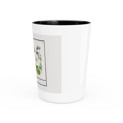 Natural History Ensemble, No. 17 by Anselmus Boëtius de Boodt Ceramic Shot Glass