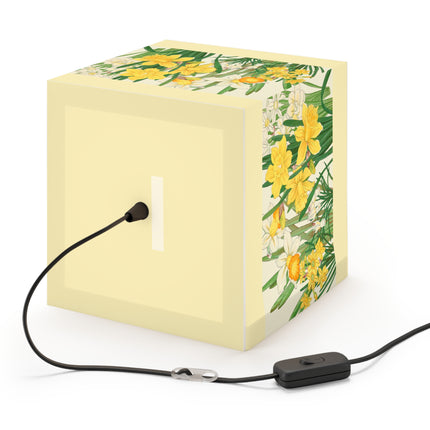 Daffodil by Tanigami Kônan Light Cube Lamp