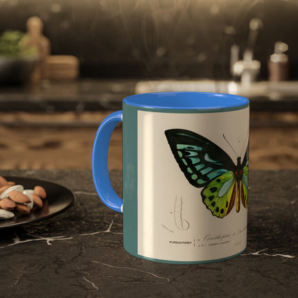 Green Birdwing by Charles Dessalines D' Orbigny Colorful Mugs, 11oz