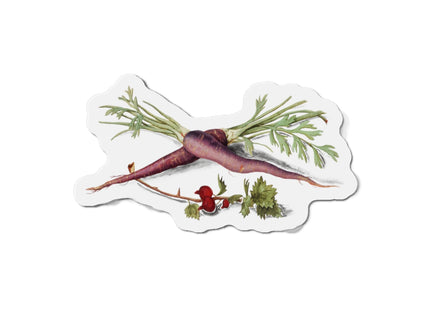 Carrot, Daucus carota and red currant, Ribes rubrum by Anselmus Boëtius de Boodt Die-Cut Magnets (5 Sizes)