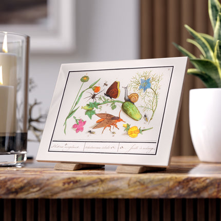 Natural History Ensemble, No. 3 Ceramic Tile