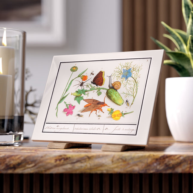 Natural History Ensemble, No. 3 Ceramic Tile
