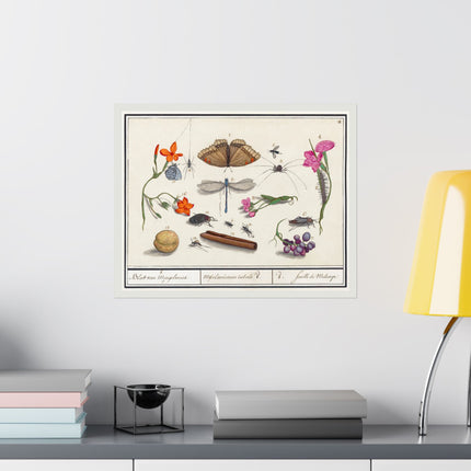 Natural History Ensemble, No. 8 by Anselmus Boëtius de Boodt Matte Horizontal Posters