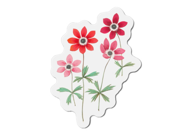 Anemoon, Anemone by Anselmus Boëtius de Boodt Die-Cut Magnets (5 Sizes)