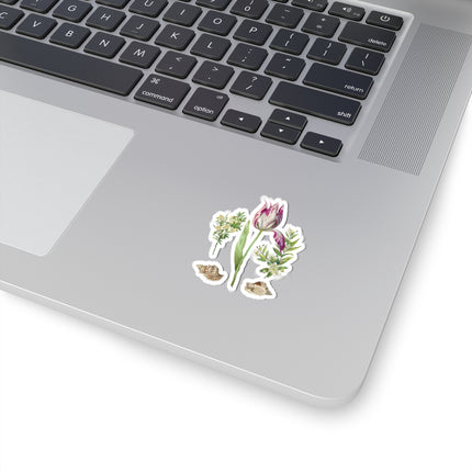 Tulip, two Branches of Myrtle and two Shells by Maria Sibylla Merian Kiss-Cut Stickers (4 Sizes)