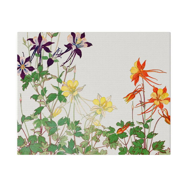 Aquilegia Flower by Tanigami Kônan – Japanese Botanical Art