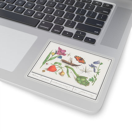 Natural History Ensemble, No. 17 by Anselmus Boëtius de Boodt Kiss-Cut Stickers (4 Sizes)