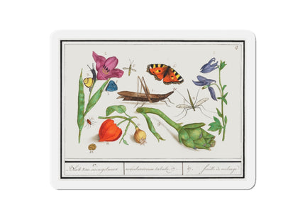 Natural History Ensemble, No. 17 Die-Cut Magnets (5 Sizes)