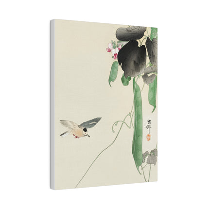 Bird at Flowering Bean Plant by Ohara Koson – Art of Nature