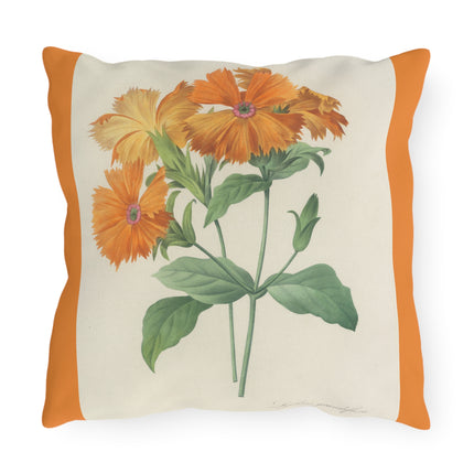 Choix des plus belles fleurs, Plate 044 by Pierre Joseph Redouté Outdoor Pillows