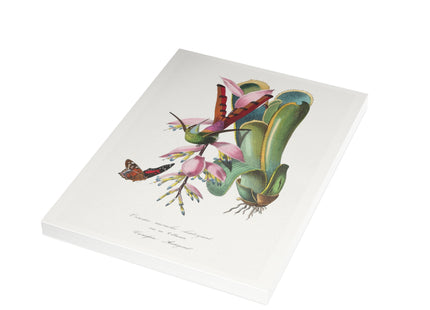 Hummingbird by Paul Gervais Postcards (envelopes included) - Bundles of 10, 30, 50 Pieces