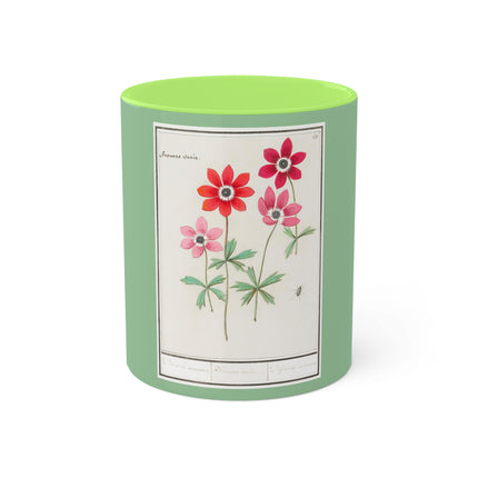Anemoon, Anemone by Anselmus Boëtius de Boodt Colorful Mugs, 11oz