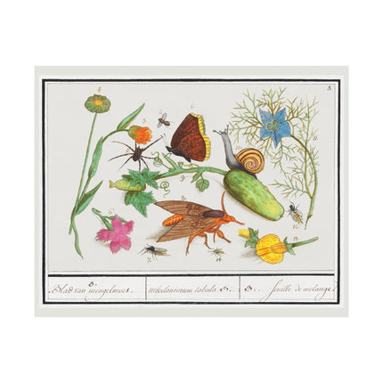 Natural History Ensemble, no. 3 by Anselmus Boëtius de Boodt Matte Horizontal Posters