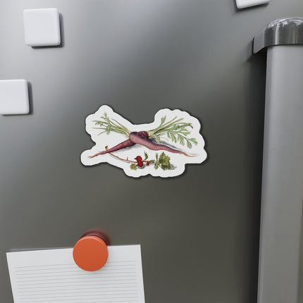 Carrot, Daucus carota and red currant, Ribes rubrum by Anselmus Boëtius de Boodt Die-Cut Magnets (5 Sizes)