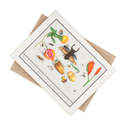 Natural History Ensemble, No. 1 Ceramic Tile