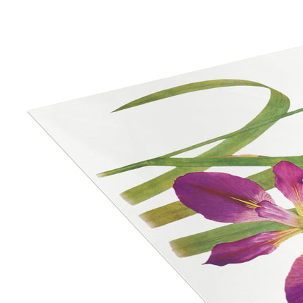 Iris Fulva & Iris Fulvala: Botanical Elegance from The Genus Iris Postcards (envelopes included) - Bundles of 10, 30, 50 Pieces