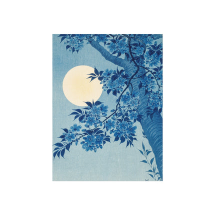 Blossoming Cherry on a Moonlit Night by Ohara Koson Fine Art Posters