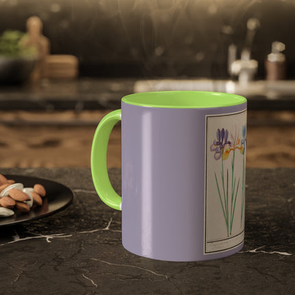 Iris, Iris sibirica by Anselmus Boëtius de Boodt Colorful Mugs, 11oz