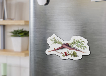 Carrot, Daucus carota and red currant, Ribes rubrum by Anselmus Boëtius de Boodt Die-Cut Magnets (5 Sizes)