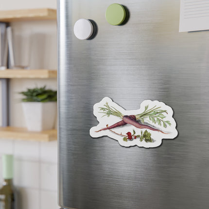 Carrot, Daucus carota and red currant, Ribes rubrum by Anselmus Boëtius de Boodt Die-Cut Magnets (5 Sizes)