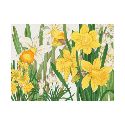 Daffodil by Tanigami Kônan Premium Matte horizontal posters