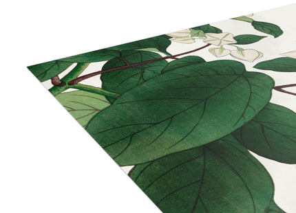 Clerodendrum & Rudbeckia by Tanigami Kônan Postcards (envelopes included) - Bundles of 10, 30, 50 Pieces